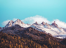 开云登录入口地址-多特换帅换刀不换灾难防守 神童首球同步新帅首败